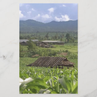 Grönt Landskapsfoto Yunnan Province China