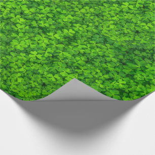 Grönt Leafy Klöver med Vatten droppar Presentpapper