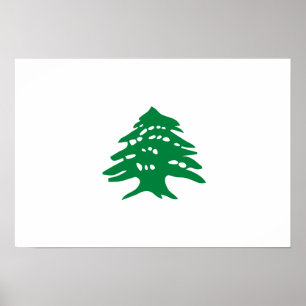 Grönt Libanon Cedar Träd Flagga Poster