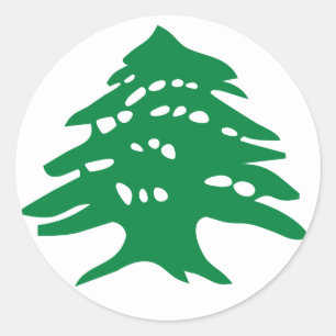 Grönt Libanon Cedar Träd Runt Klistermärke