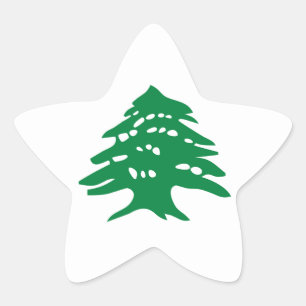 Grönt Libanon Cedar Träd Stjärnformat Klistermärke