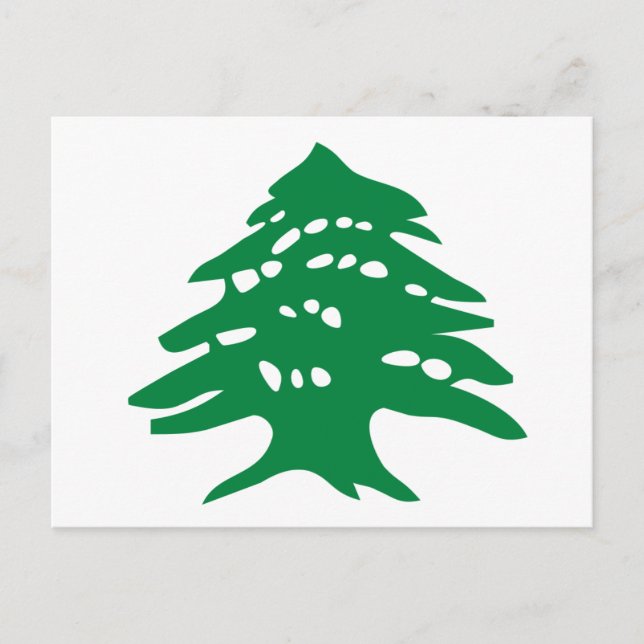 Grönt Libanon Cedar Träd Vykort (Framsida)