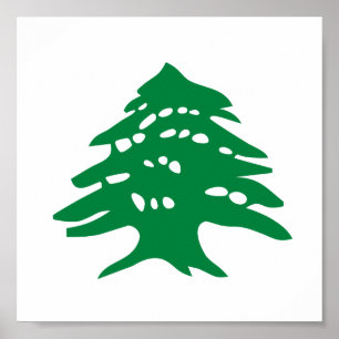 Grönt Libanon cederträträd Poster