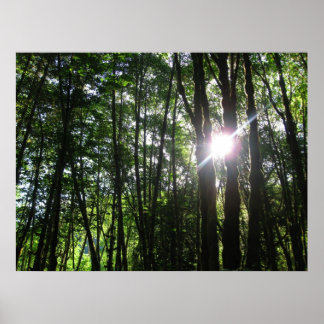 Grönt Light... Poster