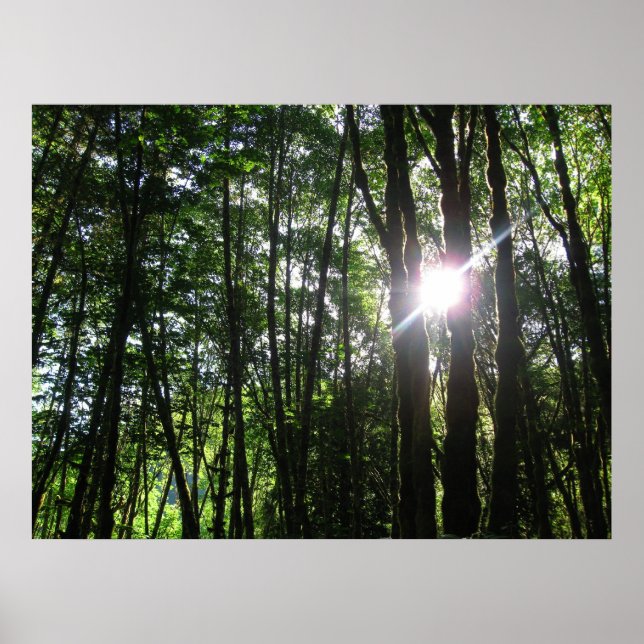 Grönt Light... Poster (Framsidan)