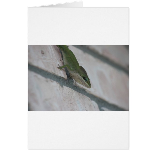 Grönt Lizard Hälsningskort (Framsidan)