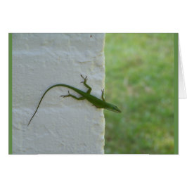 Grönt Lizard hänger ut Hälsningskort