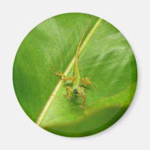 Grönt Lizard på Grönten Löv Magnet