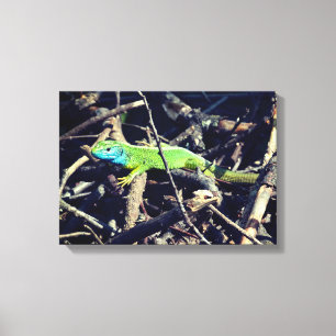 Grönt Lizard Photo Wrapper Canvas