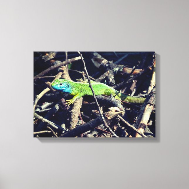 Grönt Lizard Photo Wrapper Canvas (Framsida)
