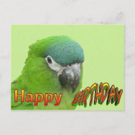 Grönt Lorikeet Grattis på födelsedagen Cust. vykor Vykort