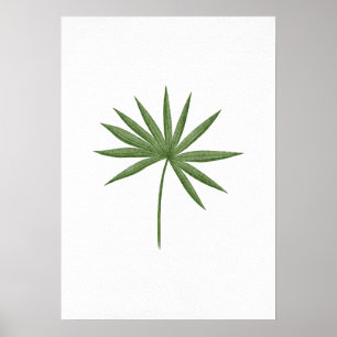 GRÖNT LÖV 2 POSTER