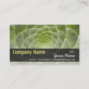 Grönt Löv Aeonium Tabuliforme Business Template Visitkort