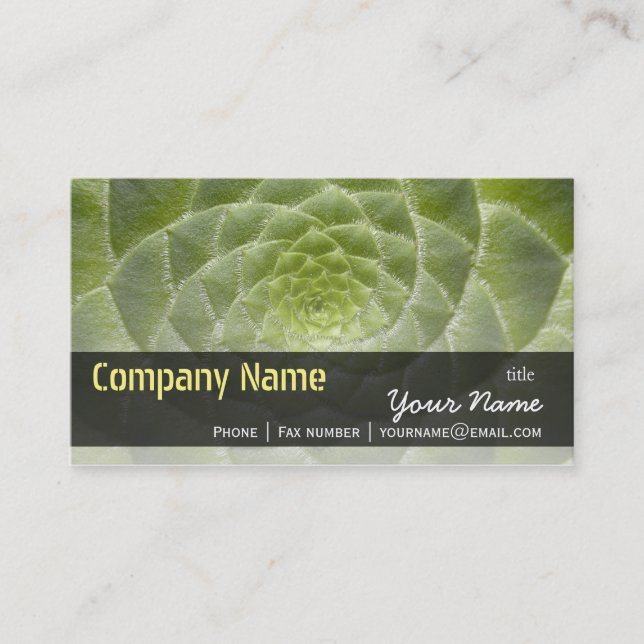 Grönt Löv Aeonium Tabuliforme Business Template Visitkort (Framsida)