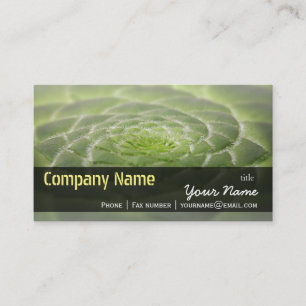 Grönt Löv Aeonium Tabuliforme Business Template Visitkort