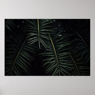 GRÖNT LÖV ANLÄGGNING UNDER NATT POSTER