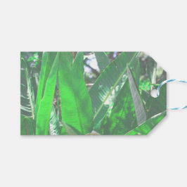 Grönt löv bananliknande anläggning löv pastel presentetikett