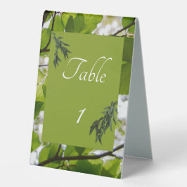 Grönt Löv Bröllop Bord Tält-tecken