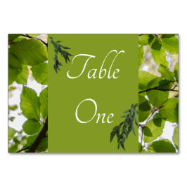 Grönt Löv Bröllop Bordsnumren Vågrät Bordsnummer