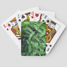 Grönt löv casinokort