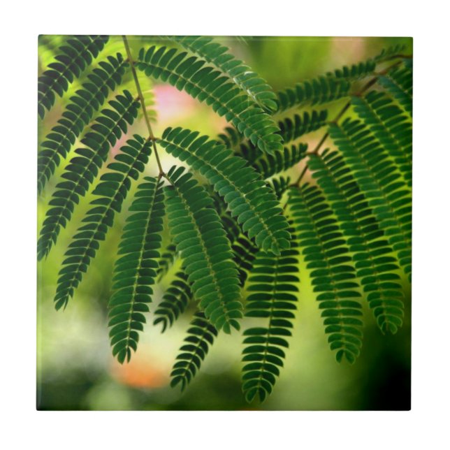 Grönt Löv Ceramic Tile Kakelplatta (Framsidan)