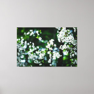 Grönt Löv för White Cherry Blommars Canvastryck