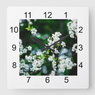 Grönt Löv för White Cherry Blommars Fyrkantig Klocka