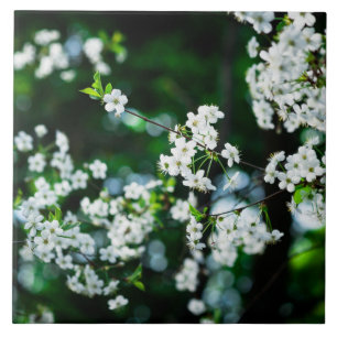Grönt Löv för White Cherry Blommars Kakelplatta
