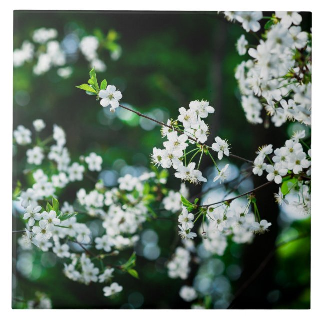 Grönt Löv för White Cherry Blommars Kakelplatta (Framsidan)