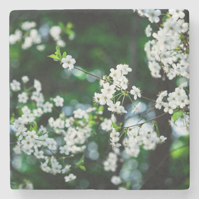 Grönt Löv för White Cherry Blommars Underlägg Sten (Framsidan)