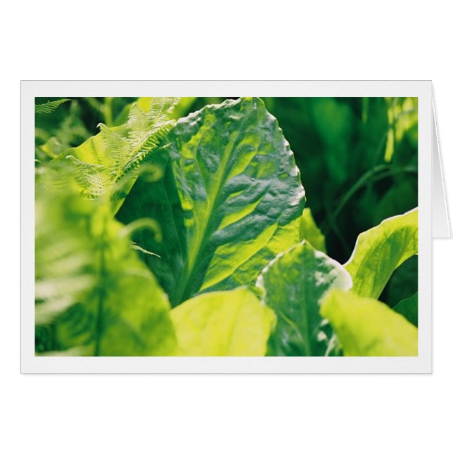 Grönt Löv Hälsningskort (Framsidan Horizontal)