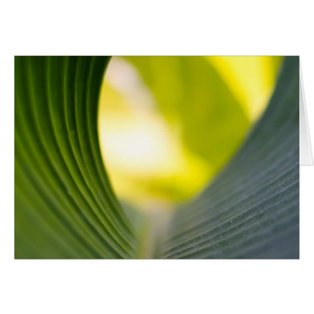 Grönt löv hälsningskort (Framsidan Horizontal)