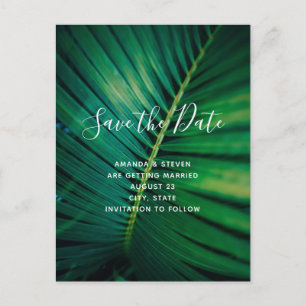 Grönt Löv Handflatan Frond Closeup Photo Save Date Inbjudan Vykort
