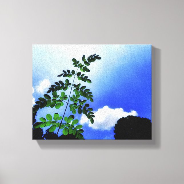 Grönt löv, himmel och molnbakgrund canvastryck (Framsida)