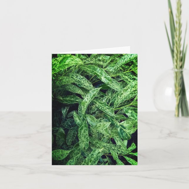 Grönt löv kort (Framsida)