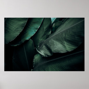 GRÖNT LÖV MACRO FOTOGRAFI POSTER