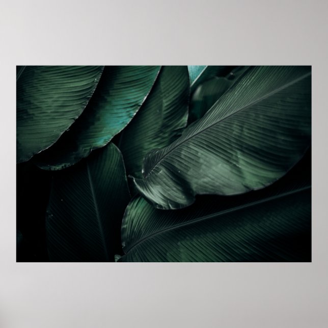 GRÖNT LÖV MACRO FOTOGRAFI POSTER (Framsidan)
