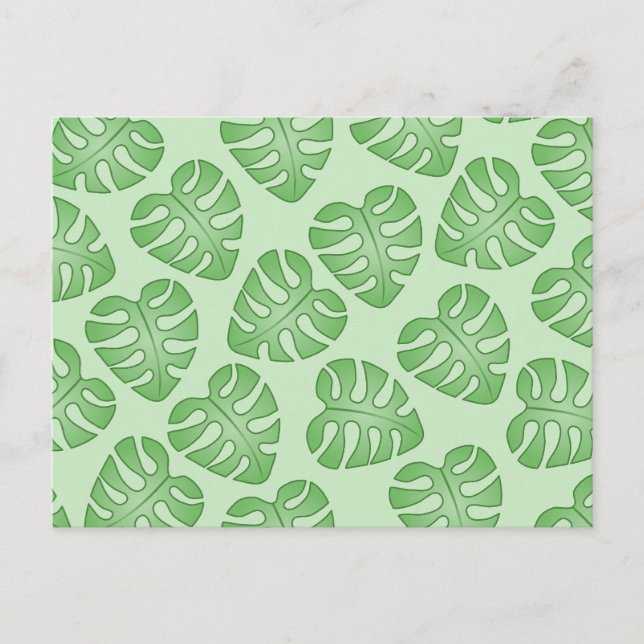 Grönt Löv Mönster, Monstera Löv. Vykort (Framsida)