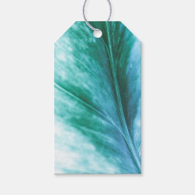 Grönt Löv naturfoto Presentetikett (Framsidan)