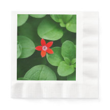 Grönt Löv och rödblomma