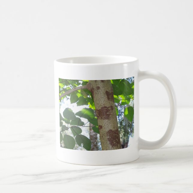 grönt löv och träd med coola bark kaffemugg (Höger)