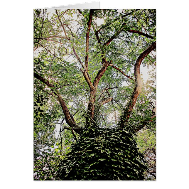 Grönt löv överallt hälsningskort (Framsidan)