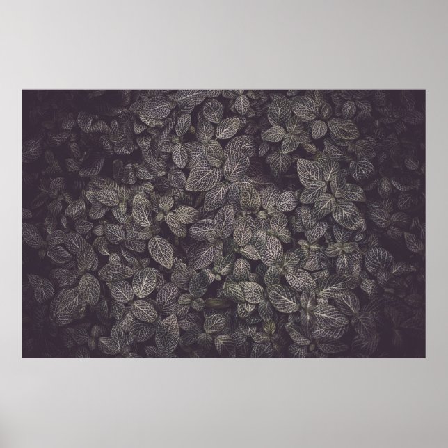 GRÖNT LÖV POSTER (Framsidan)