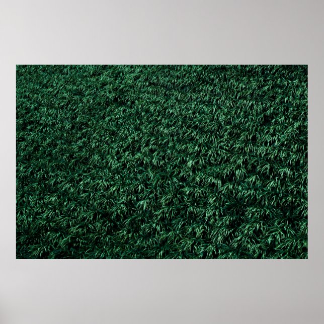 Grönt löv poster (Framsidan)