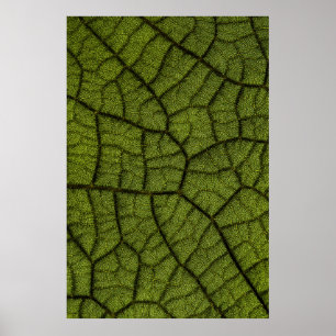Grönt löv poster