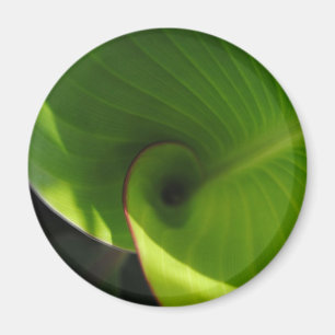 Grönt Löv Swirl Magnet