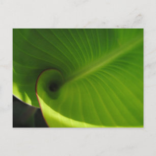 Grönt Löv Swirl Vykort