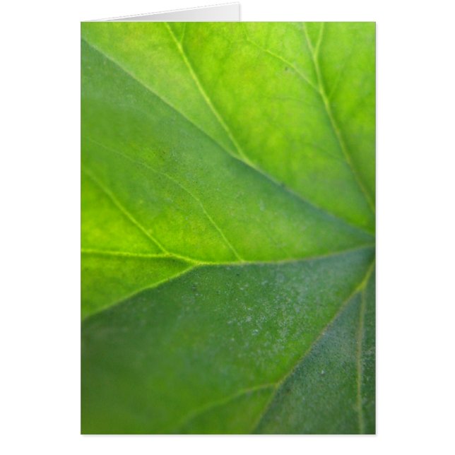 Grönt lövkort hälsningskort (Framsidan)