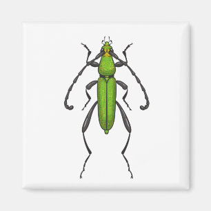 Grönt Magnet