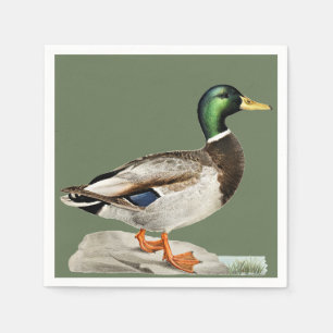 Grönt Mallard Anka Hunting Nature Art Pappersservett